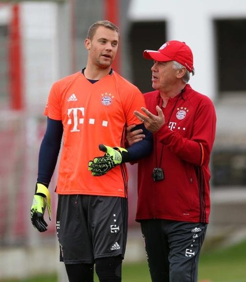 高约三米 高约三米