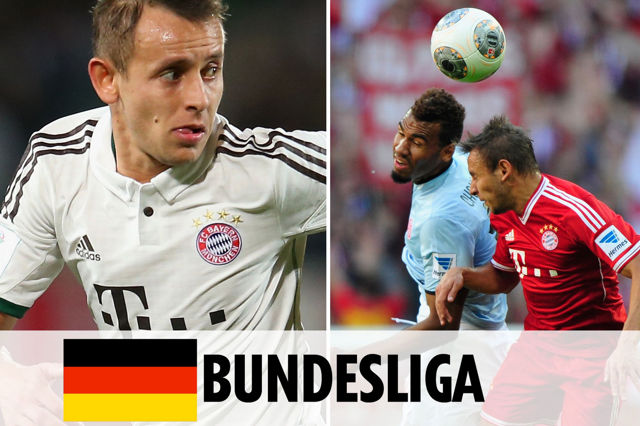 的重要部分 的重要部分