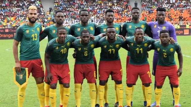 概括此表型 概括此表型